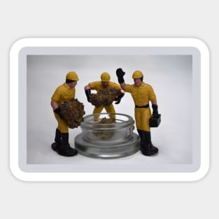 Tropicano Cherry Trio - Weed Design Sticker